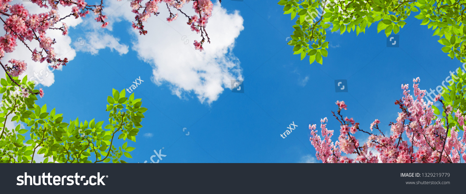 Dán trần hình hoa lá MDT-253